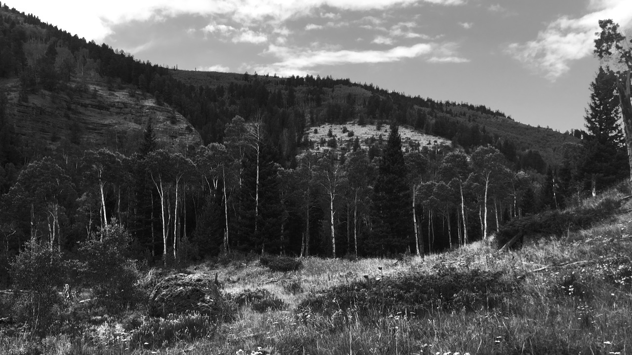 Mountain vista in Gunnison, Colorado